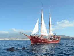 Peter Pan (Pirate Boat)